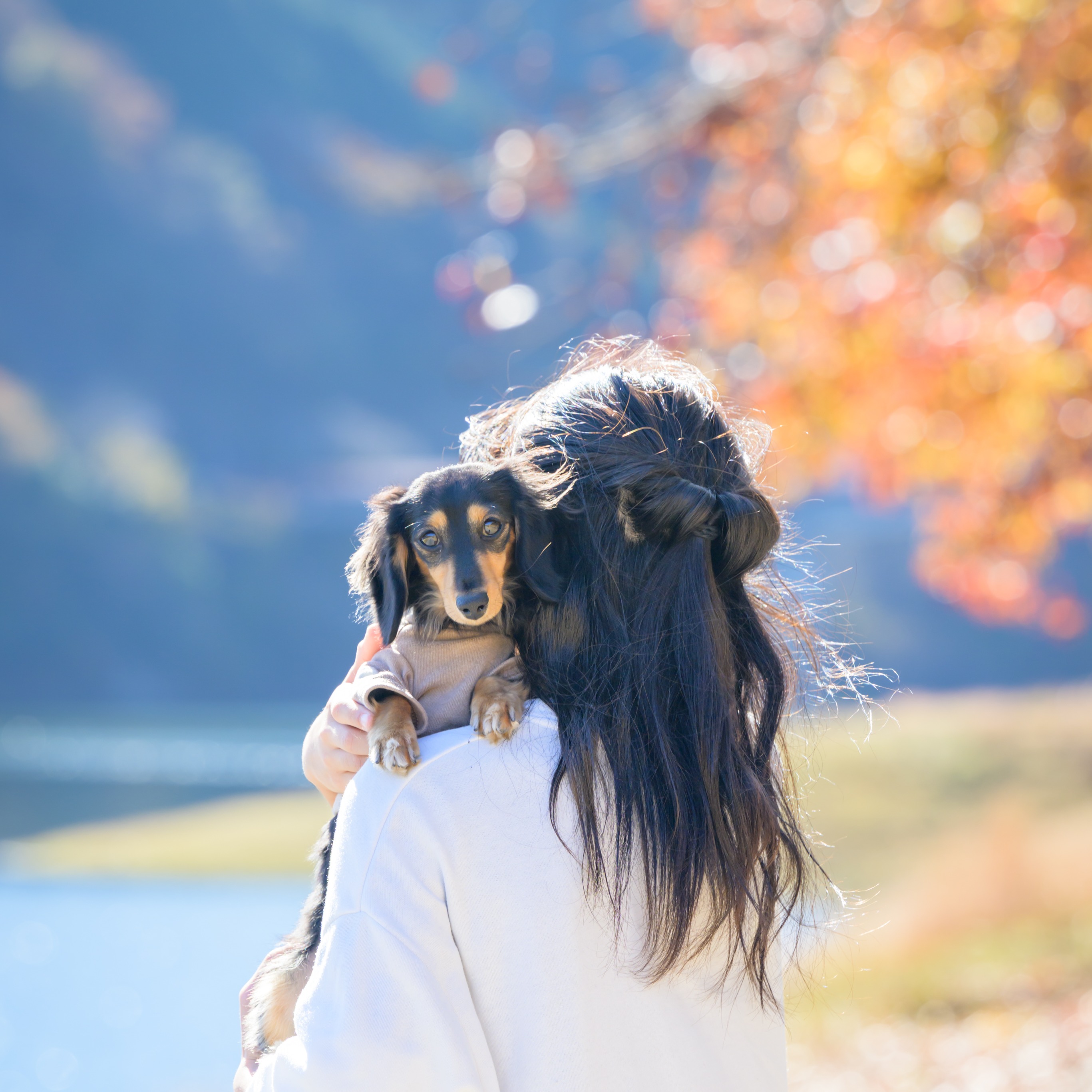 dographyが撮影した愛犬のポートレート